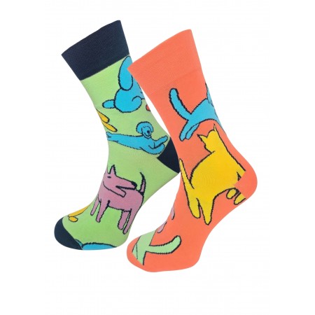 Skarpety męskie Colorful seledynowo-brzoskwiniowe kotki/pieski